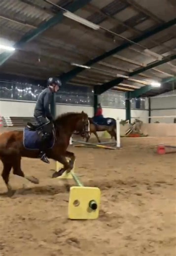 Springstunde für Anfänger: Reiten lernen mit Freude