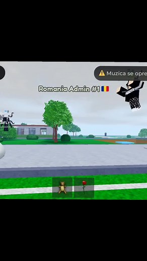 Romania admin core: #viralviralviralvuralviral #povbrookhavenromania #roblox #fypシ゚viral🖤tiktok #fyyyy