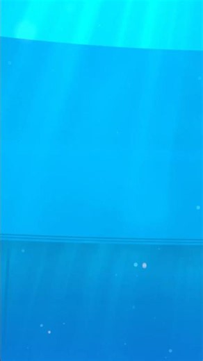 GIOCHIAMO SOTT'ACQUA 🫧🐠🌊 Sharkdog: Lo squalo-cane | Netflix Junior Italia