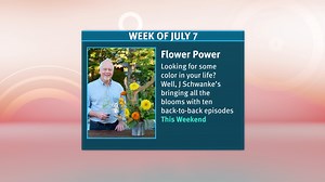 Add a little color into your life this week with stunning scenery, tasty morsels, and beautiful blooms as we close the week with a Flower Power marathon from J Schwanke's Life in Bloom. Visit CreateTV.com/schedule for local airtimes. | Create TV