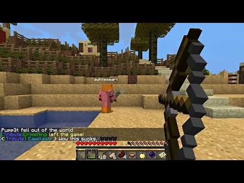 Minecraft: Official Hunger Games Server!