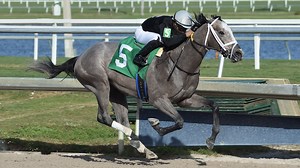 Kentucky Derby horses: Can Ny Traffic move forward after 3 straight runner-up finishes?