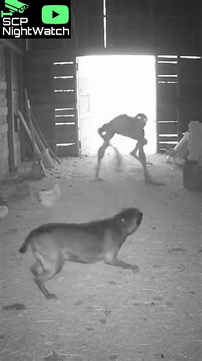 What just came in.and why is it fighting? #Creepy #Creature #Terrifying #Dark #Scary #cctv #scp #usa