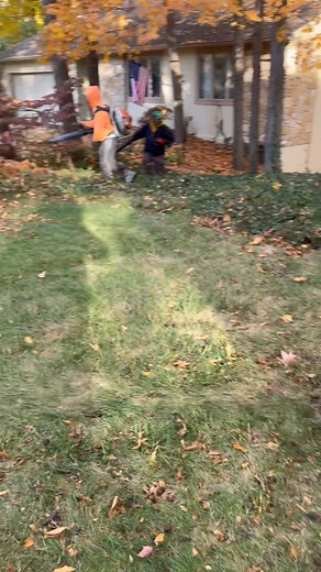 Leaf removal Indianapolis | Javier Leal | Facebook