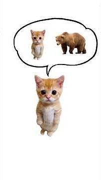 How does adrenaline work? Explain with kitties