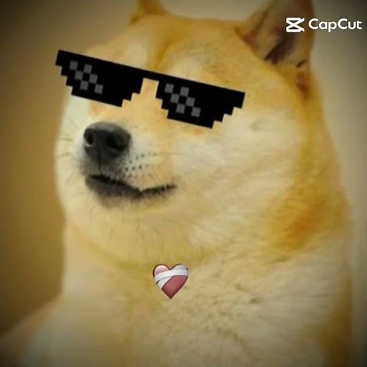 doge meme : )