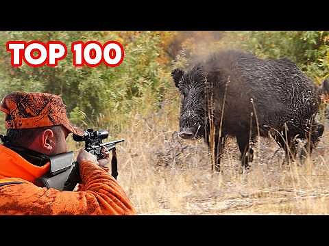 TOP 100 AMAZING SHOTS! Compilation of the best wild boar hunts of the century