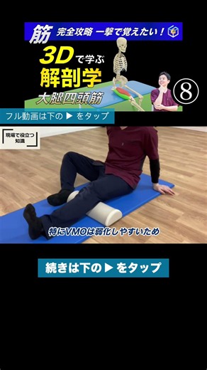 Functional Knee Training: When Unassessed Exercises Make Your Joints Scream. Visualize Infrapatel...