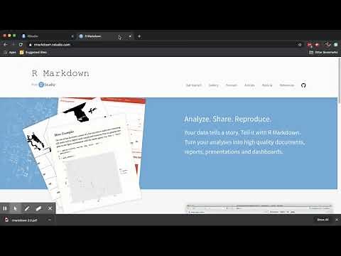 R Markdown 4 (RPubs)