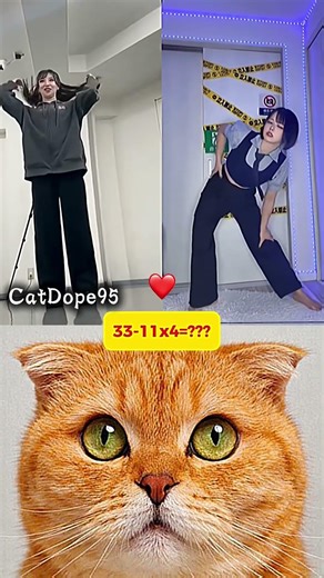 Ohhhhh😚 #cat #fun #funny #wow #lol #amazing #douyin #tiktok #tiktokdance