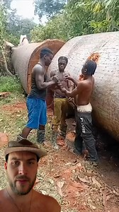 Tree huggers? Modern forestry practises need work… Thoughts? Follow for more | Conscious media 369