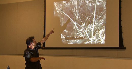 Experts analyze new Bigfoot footage