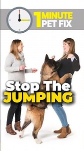 Stop Your Dog Jumping on Guests in 1 Minute (Simple Training Trick That Works)