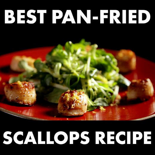 This scallop and apple salad recipe is a stunning starter for any occasion ! | Gordon Ramsay