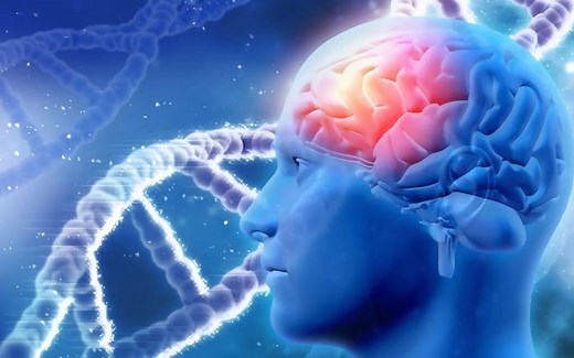 Alpha 波增强记忆力，让你更聪明 (3小时)