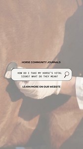 As a responsible horse owner, it’s essential to know your horse’s baseline vital signs. Tracking their normal resting temperature, heart rate, respiratory rate, capillary refill time, and gut sounds enables you to detect early signs of illness. Also, being able to assess and relay this information to your veterinarian can provide valuable insight into your horse’s condition during emergencies 🐴 🩺 Learn more about how to take your horse's vital signs and what they mean in this new article on ou