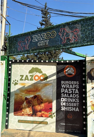 Memorable Zoo Trip Adventures with Kids