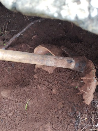 Treasure Hunting Adventures with Metal Detectors