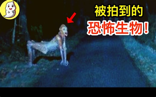 9个被拍到的恐怖生物！证明怪物真的存在！