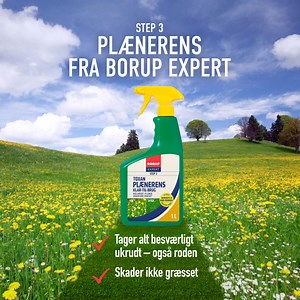 Mælkebøtter, kløver og bellis ødelægger dit græs – men den nye BORUP EXPERT Toxan Plænerens fjerner ukrudtet med en minimal indsats! 🌱 Optages gennem bladene – bekæmper rødderne 🌞 Brug i vækstperioden for maksimal effekt 📅 Kun 2 behandlinger pr. sæson – min. 6 ugers mellemrum Farvel til ukrudt – goddag til en smuk græsplæne! Læs mere: https://borupkemi.dk/til-haven/ukrudt-planter-plaene/expert-step-3-toxan-plaenerens-klar-til-brug/ | Gør det selv - bedre.