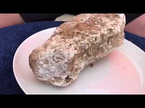 ÁMBAR GRIS VOMITO DE BALLENA CACHALOTE ESPAÑA SPAIN AMBER GRIS