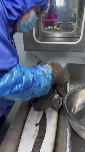 MomentsGang™ on TikTok