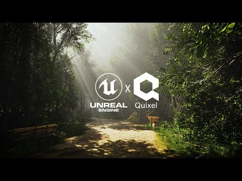 Quixel Megascans Trees and Unreal Engine make forest scenes Rendering