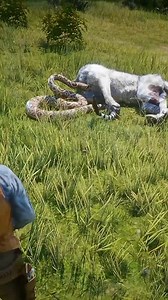 3.3M views · 8.7K reactions | Survival Skills 望 #gaming #viralvideo #short #shortsvideos #animation #challenge #survival #viral #survivalskills #rdr2 #gtav #shorts | BD WE GAMER | Facebook