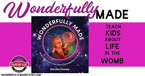 Wonderfully Made: God's Story of Life from Conception to Birth