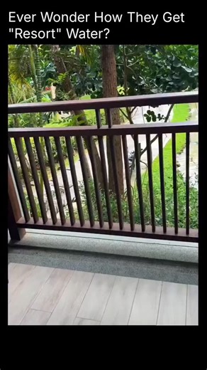 sportotide | This might be the most satisfying thing you’ll see today. That stunning “crystal blue” water at resorts isn’t just luck—it's a special,... | Instagram