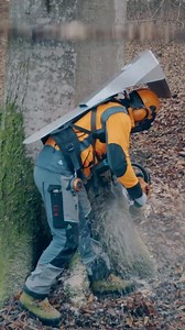 1.5M views · 5.7K reactions | aluminum protector to shield hardwood harvesters from falling wood | Dina Landry | Facebook