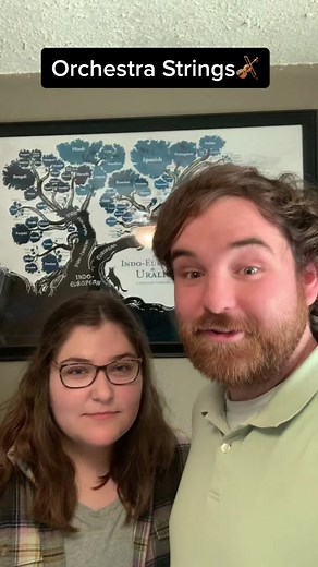 Exploring the Origins of Orchestra Stringed Instruments