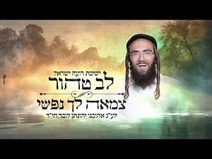 לב טהור (פיטסבורג) - צמאה לך נפשי (בעלזא) | ישיבת רועה ישראל