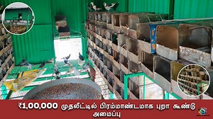 ₹1,00,000 முதலீட்டில் பிரம்மாண்டமாக புறா கூண்டு அமைப்பு | விவசாய நண்பன் - Vivasaya Nanban