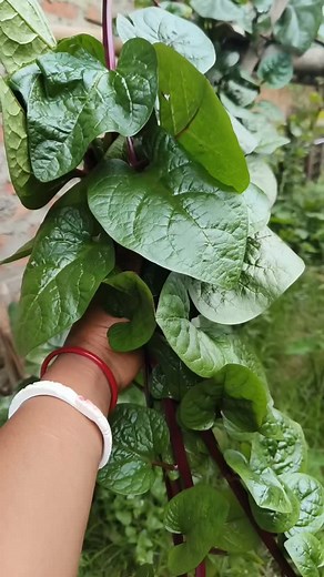 New recipe reveal 💕💕 #love #reels #recipe #facebook #fishrecipes | Rubi Das