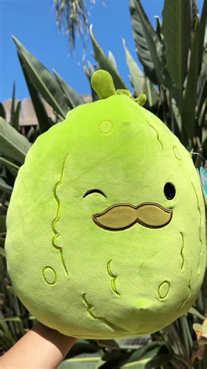 Is your fyp filled with pickles too or is it just mine? Let me know if you find Charles the pickle in the wild! 🥒 . #Squishmallows #SquishmallowsSquad #SquishmallowsPickle #gifted