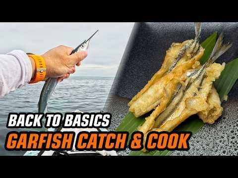 Lazy Afternoon Garfish Session. Catch and Cook Garfish Tempura
