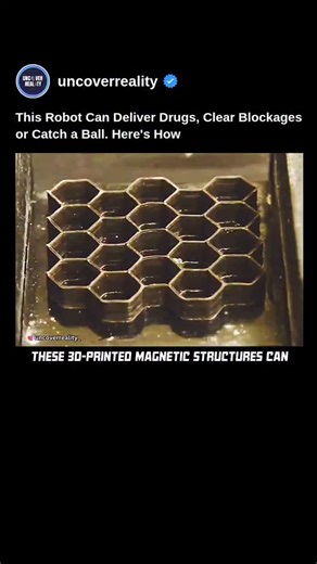 Uncover Reality | From Science to Space on Instagram: "MIT Engineers Create Magnet-Controlled 3D-Printed Structures That Can Play Catch MIT engineers, in collaboration with the New Jersey Institute of Technology, have developed 3D-printed structures infused with magnetic particles that can transform, move, and even play catch — all controlled remotely by magnetic fields. Published in Nature*m, the study showcases how these flexible, soft materials can instantly change shape in response to magnet
