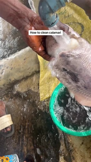 Easy Steps to Clean Fresh Calamari