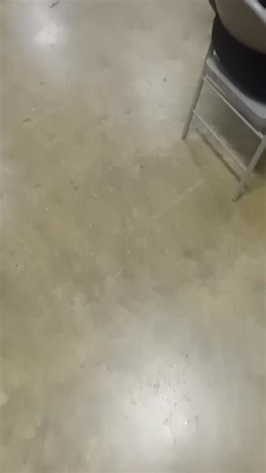 Day party!!!get here!!! | Mark Hampton