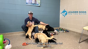 Within our breeding program, Leader Dog moms and Leader Dog dads are selected to continue the Leader Dog mission and pass on ideal traits to their puppies. This process primes the puppies that are destined to become a partner to someone who is blind or low vision. From one particular litter of eight, five went on to become working Leader Dogs and two were selected as breeding stock dogs. The potential of these dogs is only achieved with the help of volunteer breeding hosts and puppy raisers. Lea