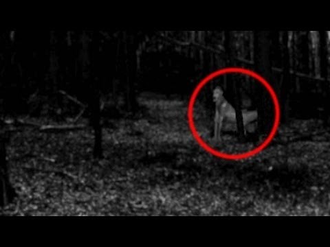 REAL DEMONS CAUGHT ON TAPE! (CREEPY SHORT FILM)