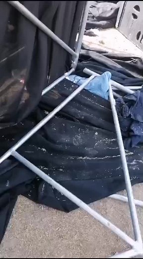 #Amor #Amor @en #vivo