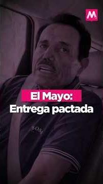 Magenta Circle | El Mayo: A Pacted Surrender