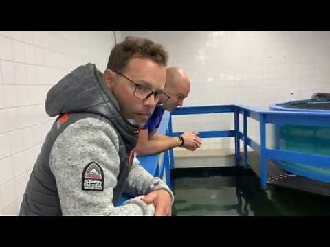 VISITING The Famous De Jong Marinelife