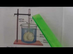 Experiment to demonstrate Osmosis