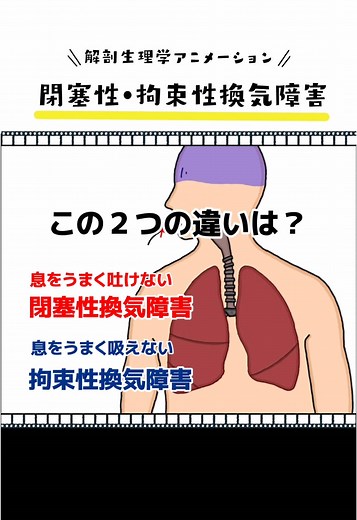 【閉塞性・拘束性換気障害】 #医療学生 #解剖生理学 #インストラクター #セラピスト #マッサージ #看護 #看護学生 #整体師 #解剖学 #解剖学の勉強 #過去問 #肺 #換気障害 #閉塞性換気障害 #拘束性換気障害 #混合性換気障害