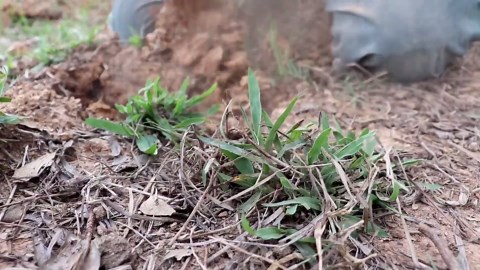 Building the twisty-turvy water slide house around an underground pool!