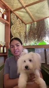 Recovering! | Michelle Fox