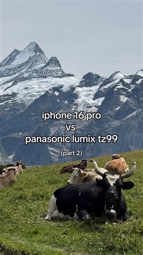 Panasonic Lumix TZ99 vs iPhone 16 Pro: The Ultimate Showdown